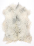 MU00019