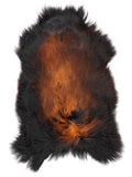 NH00077