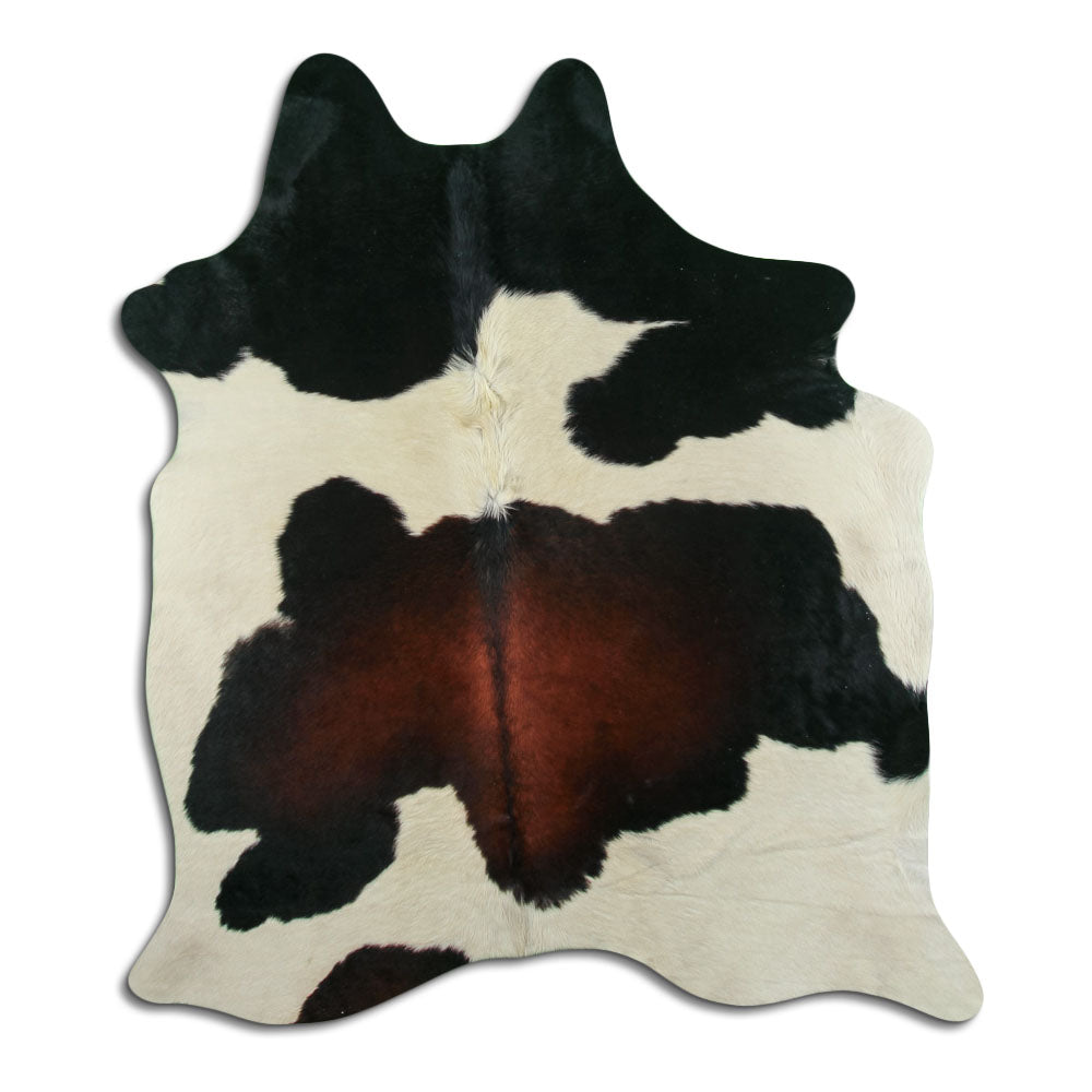 Tricolor Cowhide Rug L
