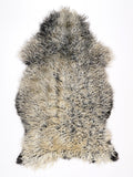 NN00091