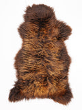 OR00081