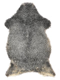 NQ00017