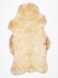 NE00066