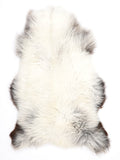 MN00010