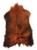MC00028