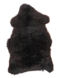 NM00038