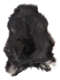 NQ00015