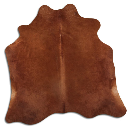 Brown Cowhide Rug M