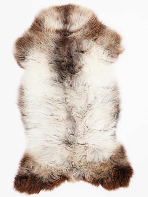 British Multicolour Sheepskin Rug L