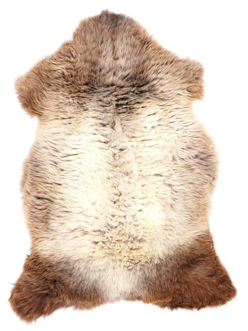 British Multicolour Sheepskin Rug M