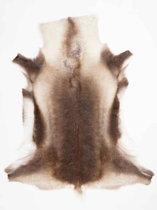 Reindeer Hide