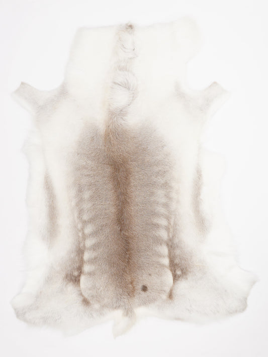 Reindeer Hide