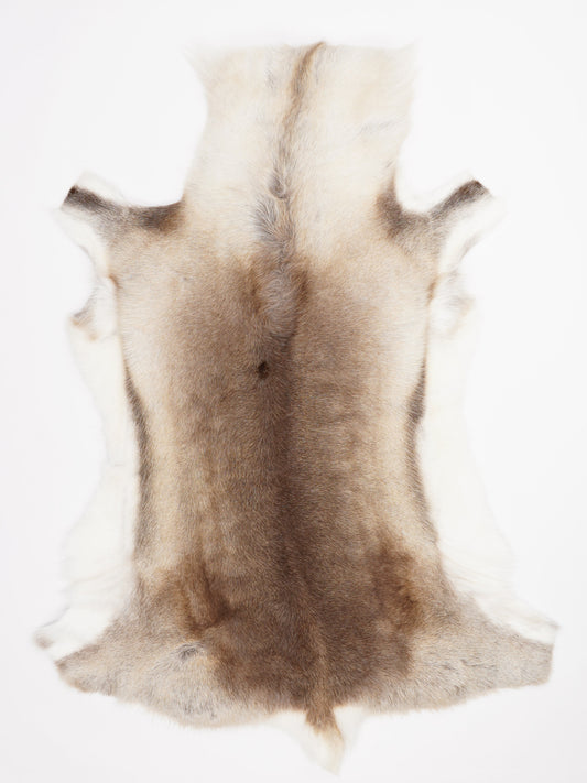 Reindeer Hide