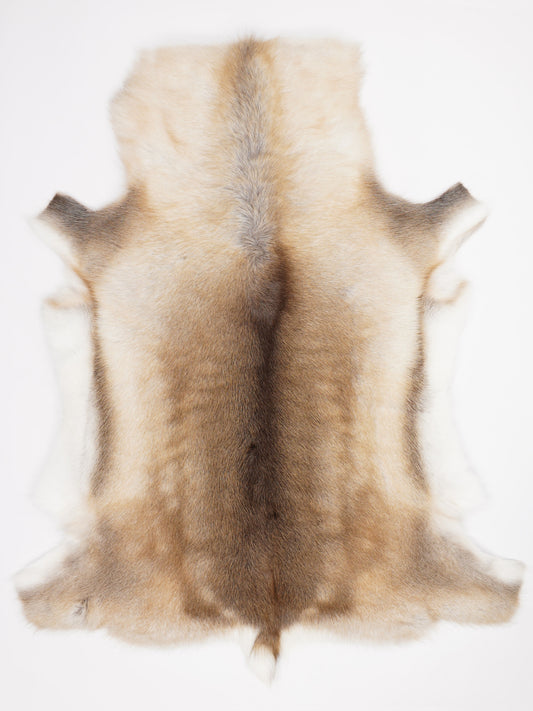 Reindeer Hide