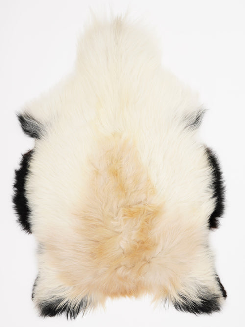 Icelandic Multicolour Sheepskin Rug L