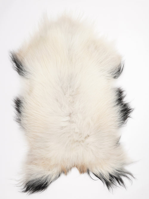 Icelandic Multicolour Sheepskin Rug XL