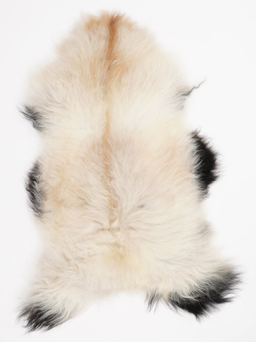 Icelandic Multicolour Sheepskin Rug L