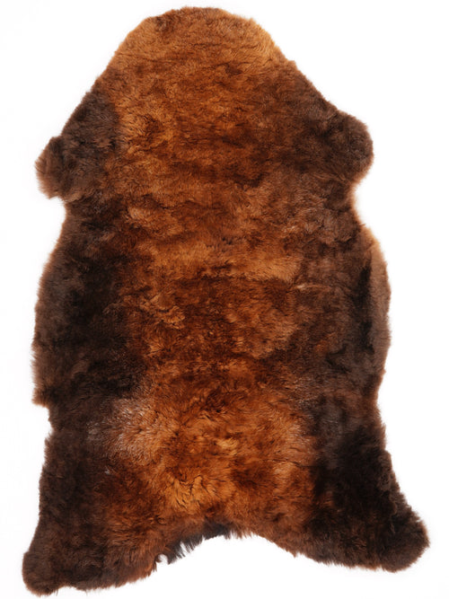 British Multicolour Sheepskin Rug L