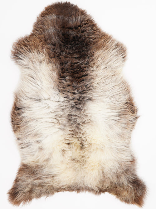 British Multicolour Sheepskin Rug L
