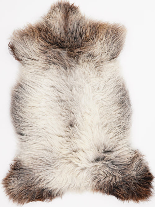 British Multicolour Sheepskin Rug L