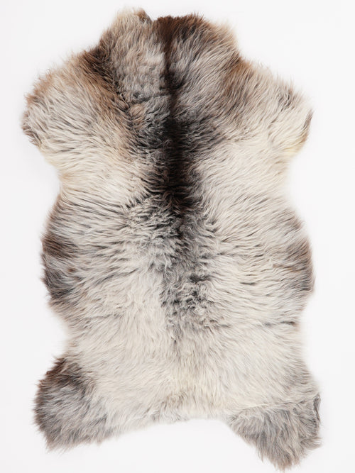 British Multicolour Sheepskin Rug M