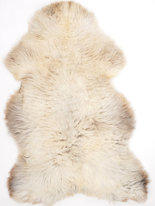 British Multicolour Sheepskin Rug XXL