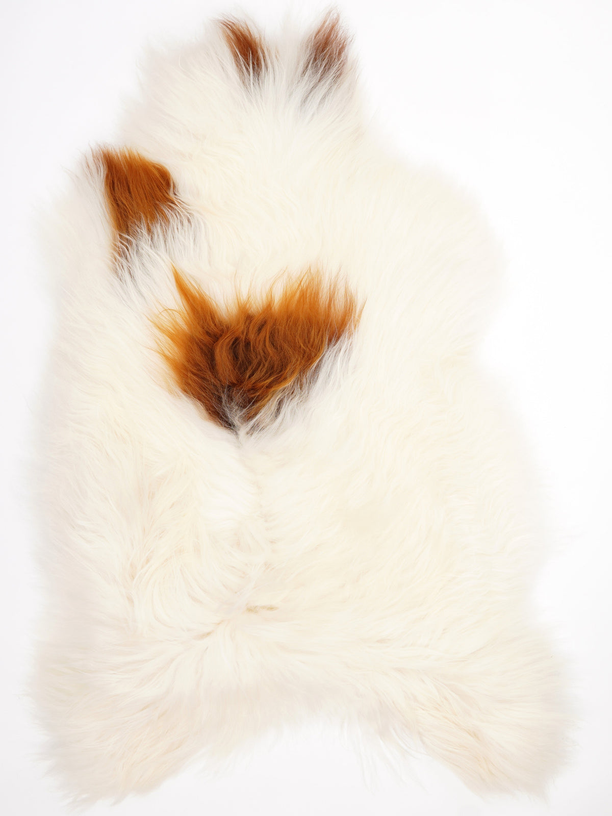 Icelandic Multicolour Sheepskin Rug XXL