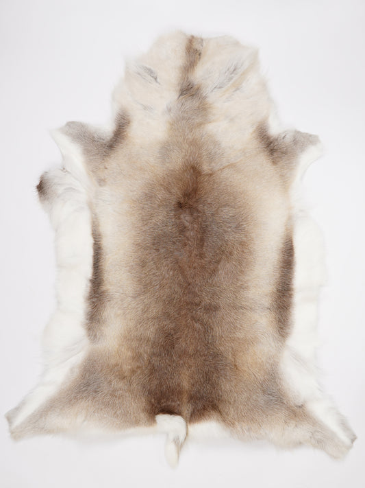 Reindeer Hide XXL