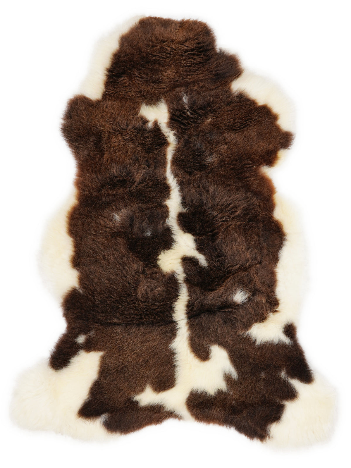 British multicolour sheepskin rug of about 110 × 60 cm, seen from above: the exact sheepskin you receive