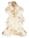 British multicolour sheepskin rug of about 120 × 60 cm, seen from above: the exact sheepskin you receive