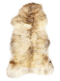 British multicolour sheepskin rug of about 120 × 60 cm, seen from above: the exact sheepskin you receive