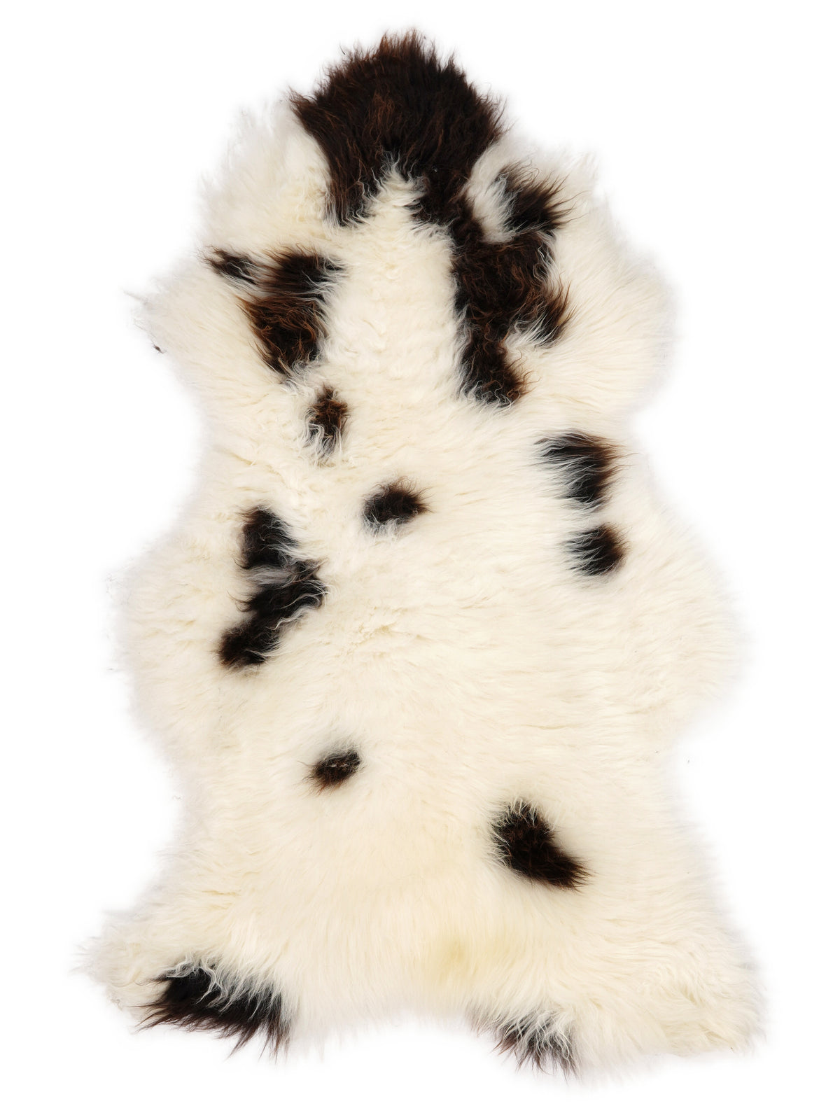 British multicolour sheepskin rug of about 130 × 70 cm, seen from above: the exact sheepskin you receive
