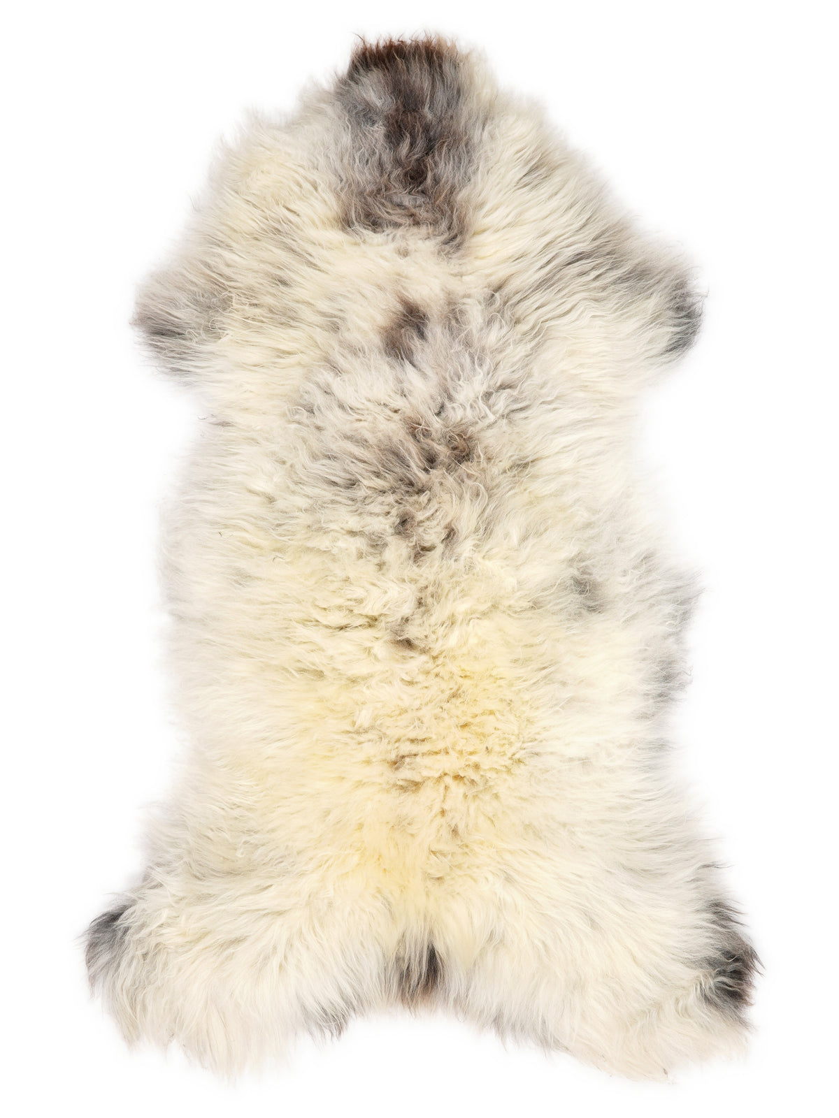 British multicolour sheepskin rug of about 130 × 60 cm, seen from above: the exact sheepskin you receive
