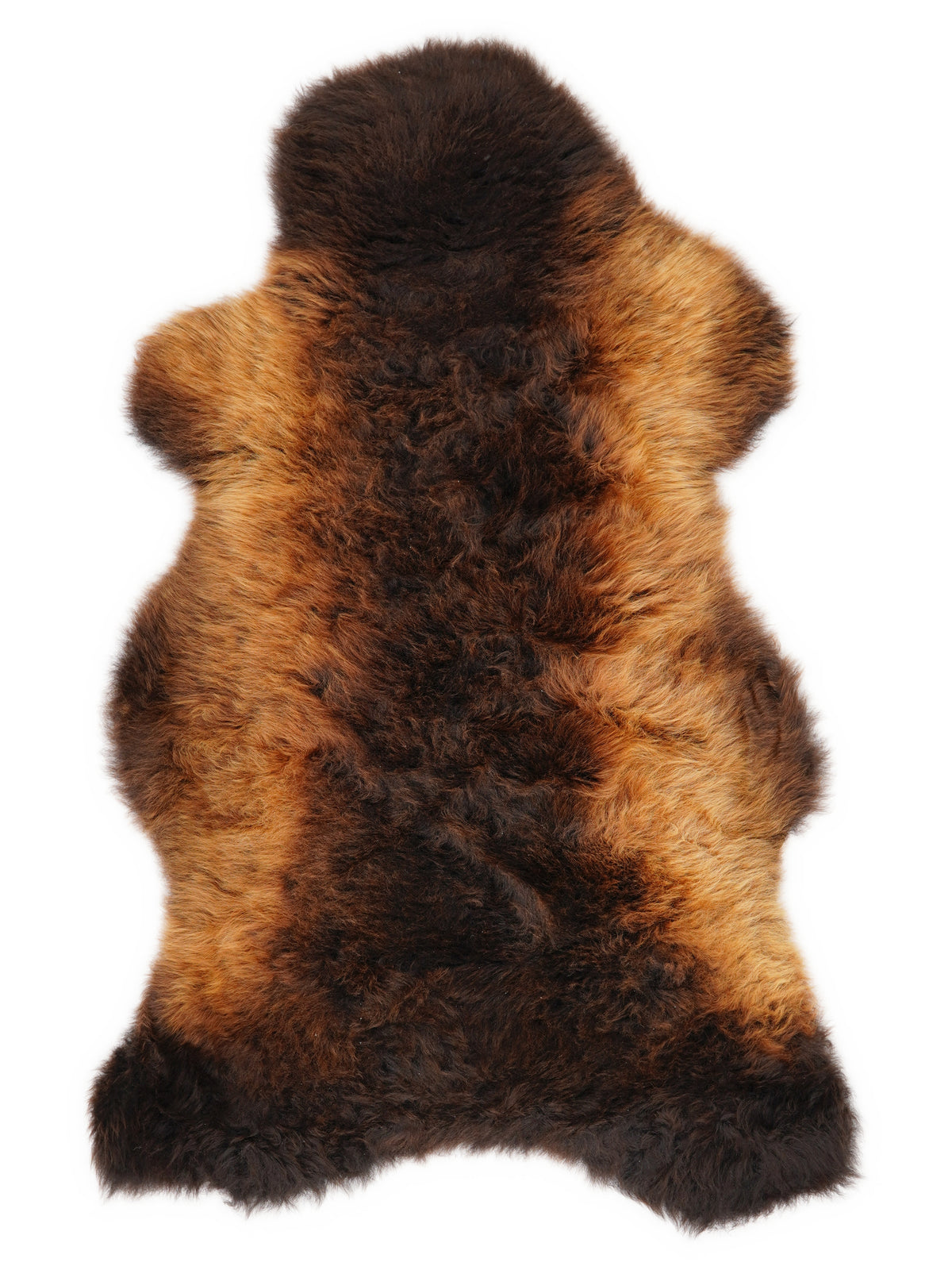 British multicolour sheepskin rug of about 120 × 60 cm, seen from above: the exact sheepskin you receive