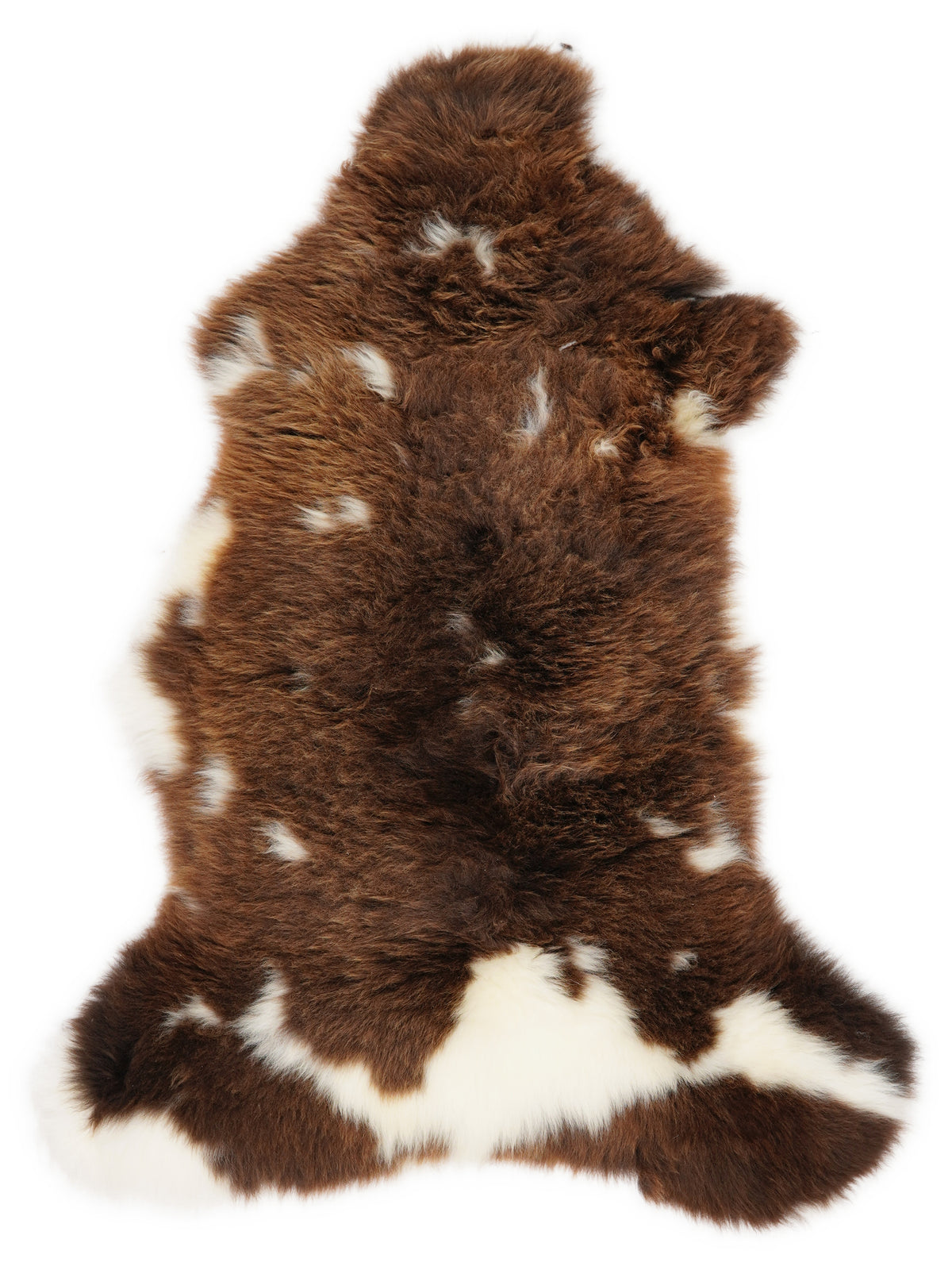British multicolour sheepskin rug of about 110 × 55 cm, seen from above: the exact sheepskin you receive