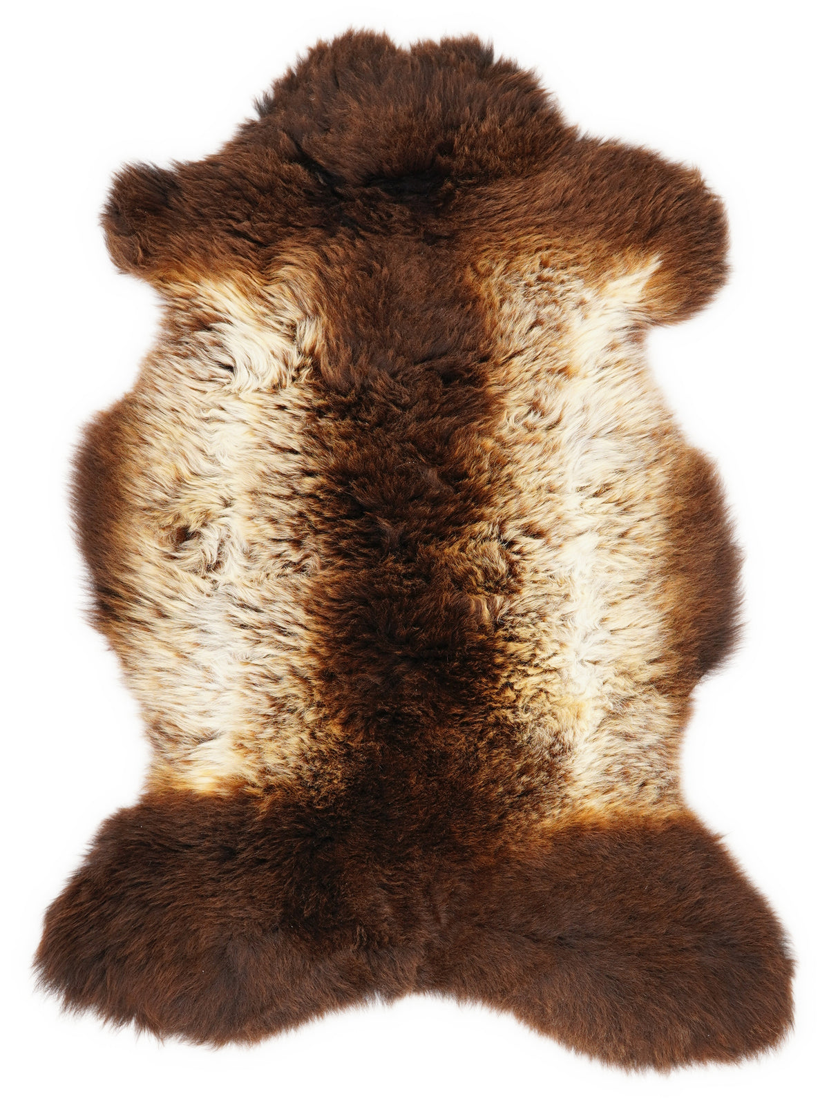 British multicolour sheepskin rug of about 95 × 55 cm, seen from above: the exact sheepskin you receive