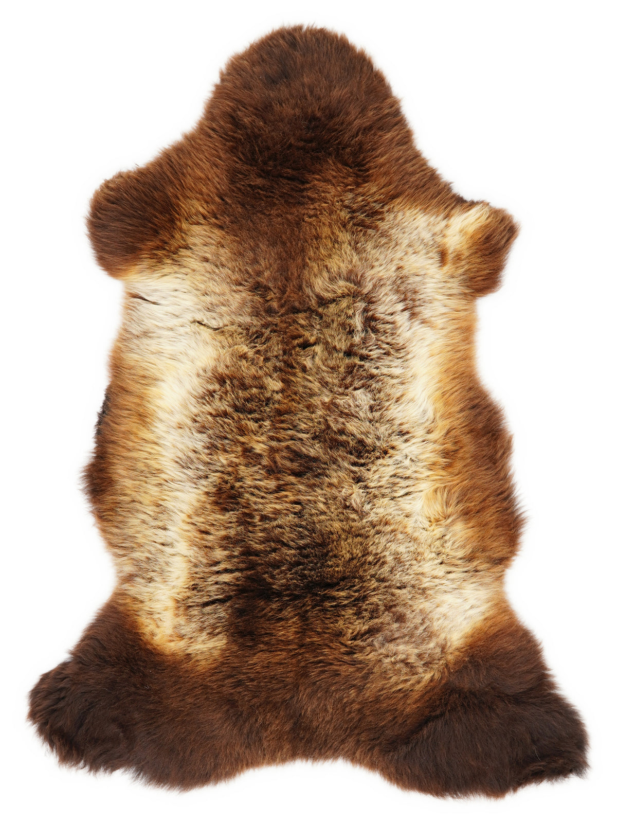 British multicolour sheepskin rug of about 115 × 60 cm, seen from above: the exact sheepskin you receive