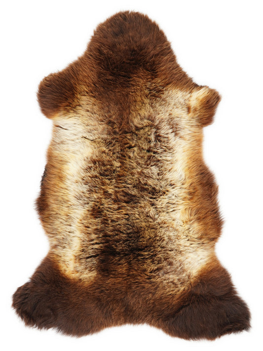 British multicolour sheepskin rug of about 115 × 60 cm, seen from above: the exact sheepskin you receive