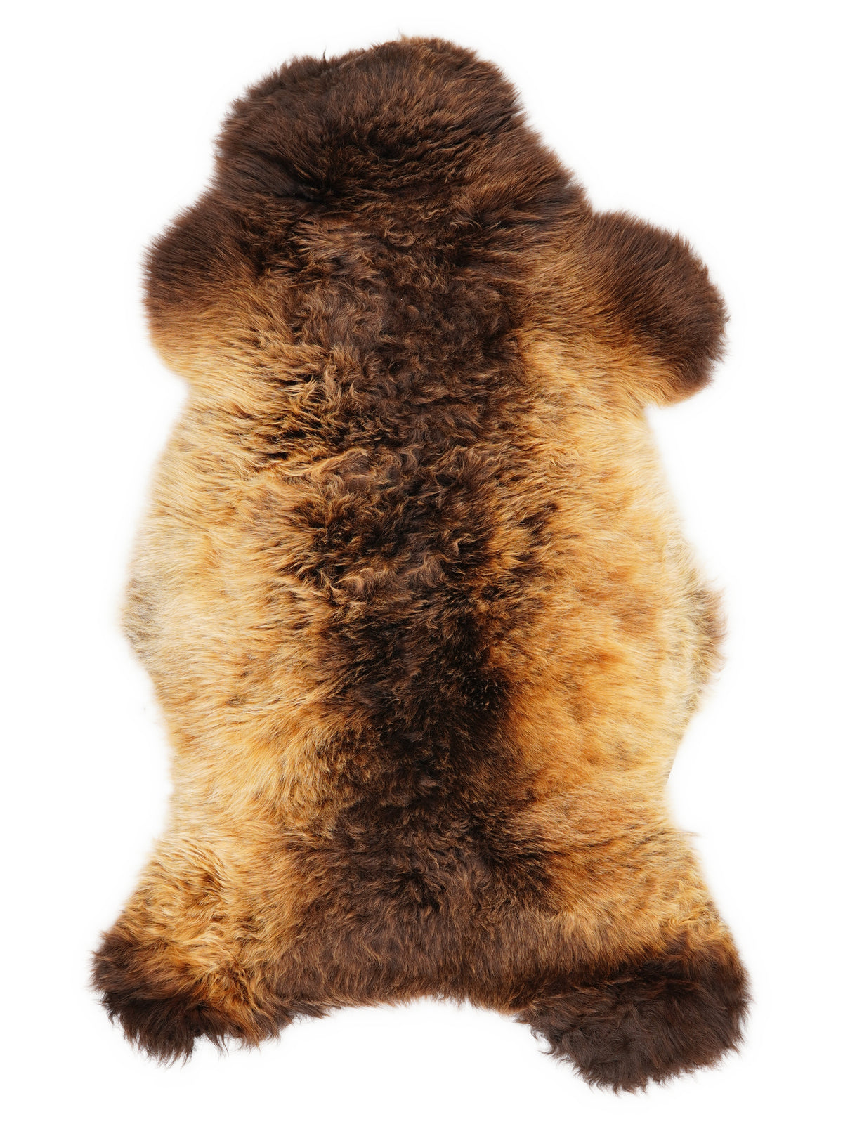 British multicolour sheepskin rug of about 110 × 60 cm, seen from above: the exact sheepskin you receive