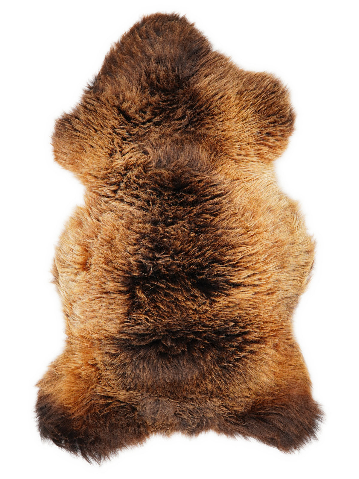 British multicolour sheepskin rug of about 120 × 65 cm, seen from above: the exact sheepskin you receive