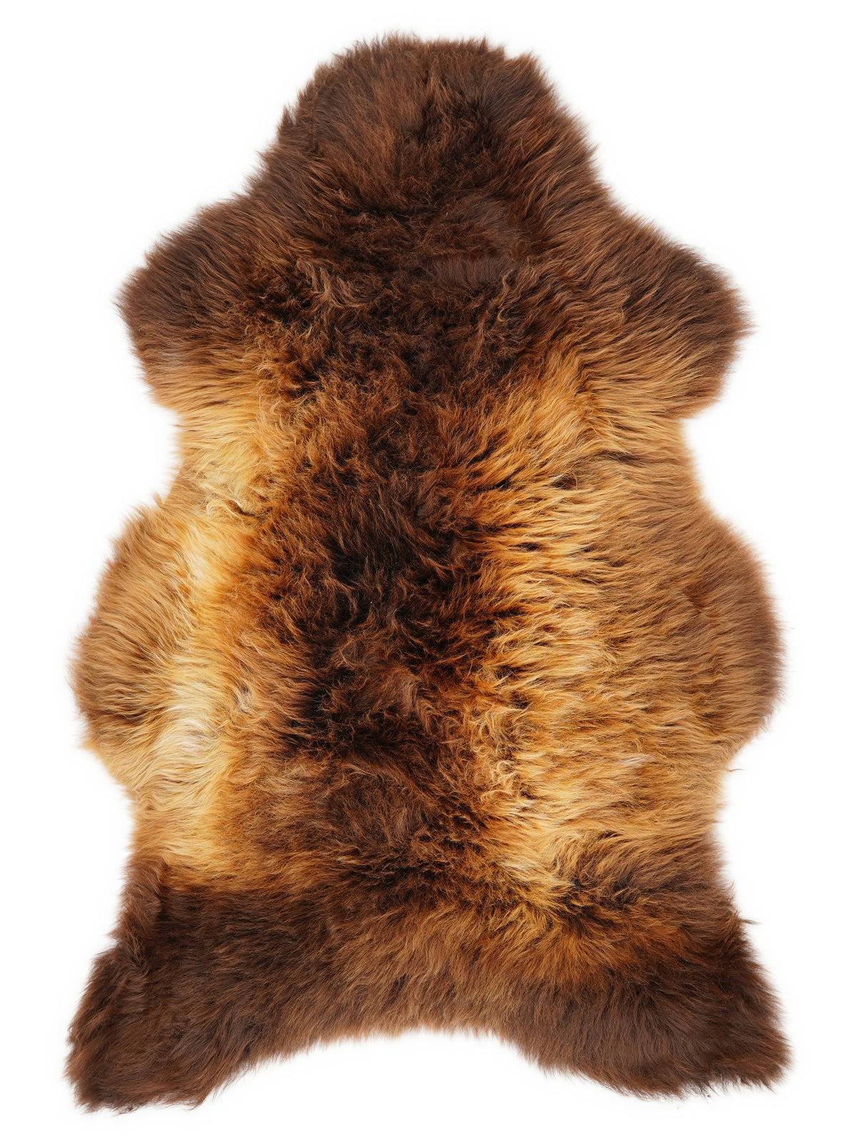 British multicolour sheepskin rug of about 115 × 70 cm, seen from above: the exact sheepskin you receive
