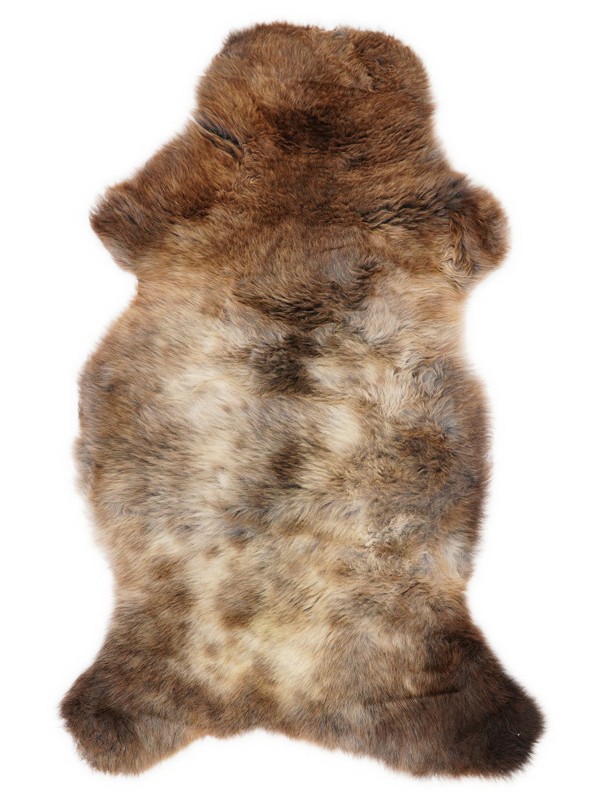 British multicolour sheepskin rug of about 110 × 60 cm, seen from above: the exact sheepskin you receive