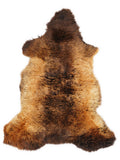 British multicolour sheepskin rug of about 110 × 60 cm, seen from above: the exact sheepskin you receive