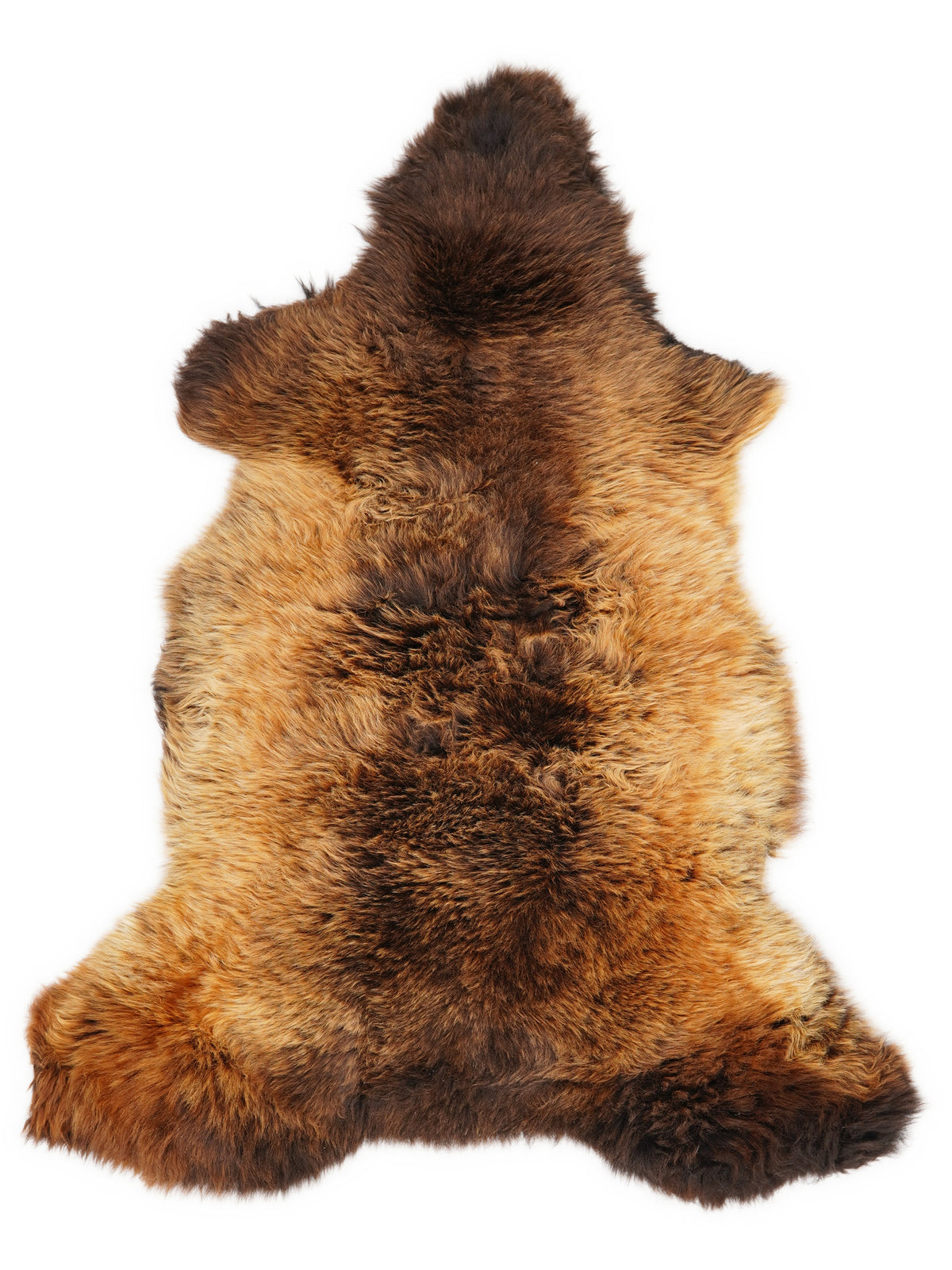 British multicolour sheepskin rug of about 110 × 60 cm, seen from above: the exact sheepskin you receive