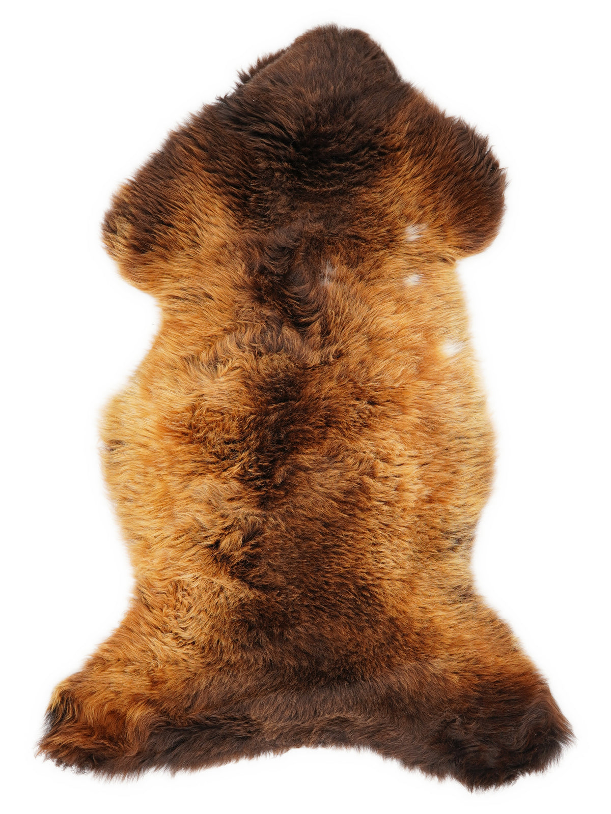 British multicolour sheepskin rug of about 110 × 55 cm, seen from above: the exact sheepskin you receive