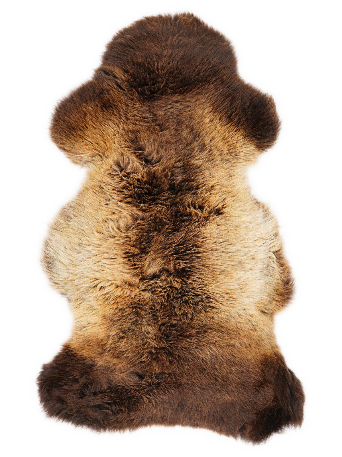 British multicolour sheepskin rug of about 110 × 60 cm, seen from above: the exact sheepskin you receive