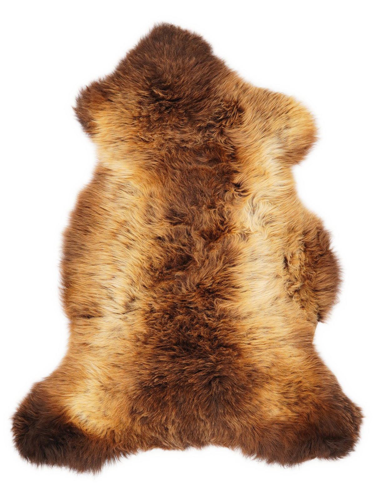 British multicolour sheepskin rug of about 110 × 60 cm, seen from above: the exact sheepskin you receive