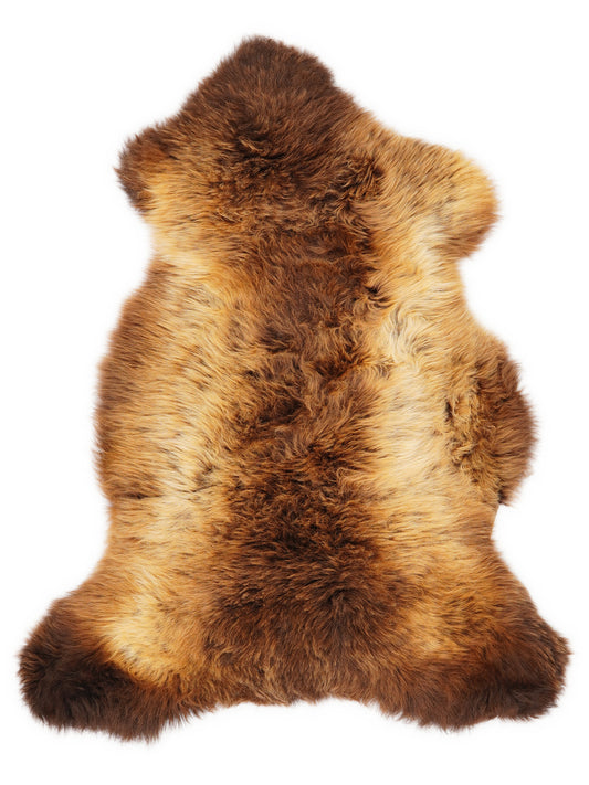 British multicolour sheepskin rug of about 110 × 60 cm, seen from above: the exact sheepskin you receive
