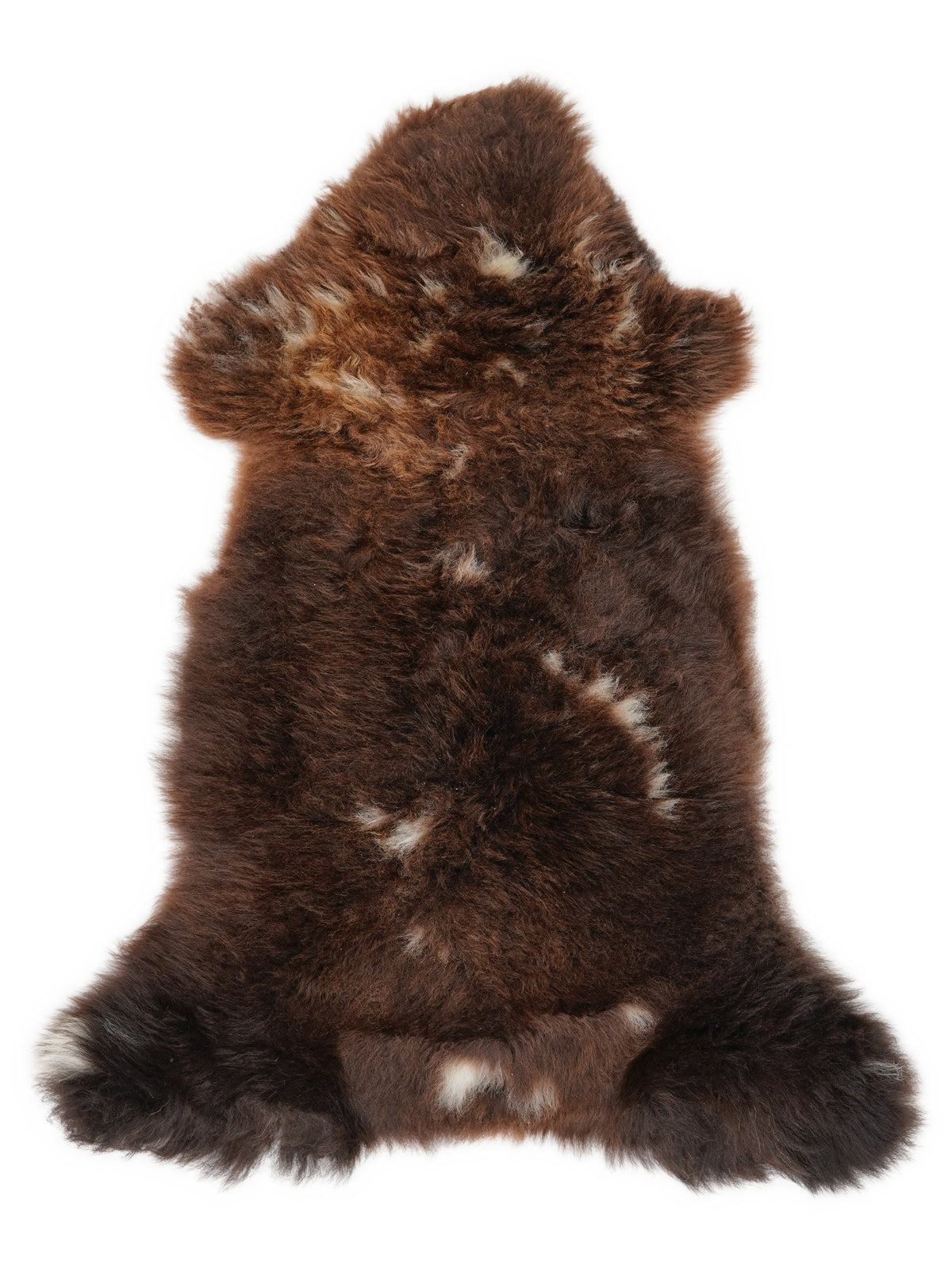 British multicolour sheepskin rug of about 110 × 50 cm, seen from above: the exact sheepskin you receive