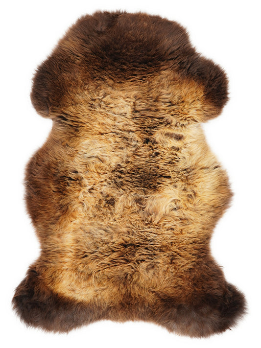 British multicolour sheepskin rug of about 105 × 60 cm, seen from above: the exact sheepskin you receive